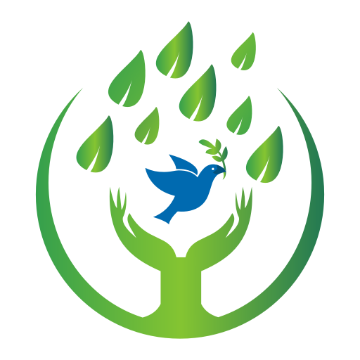 КАК СОЗДАТЬ ГАЗОН, ПРАВИЛЬНО УХАЖИВАТЬ ЗА НИМ И РЕСТАВРИРОВАТЬ СТАРЫЙ ГАЗОН 